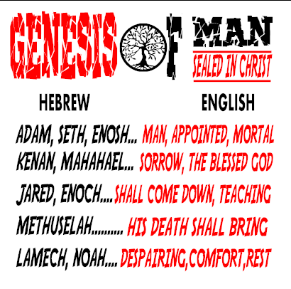 Genesis Of Man