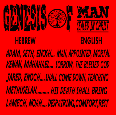 Genesis Of Man